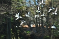 16 02 14_1048_edited-1